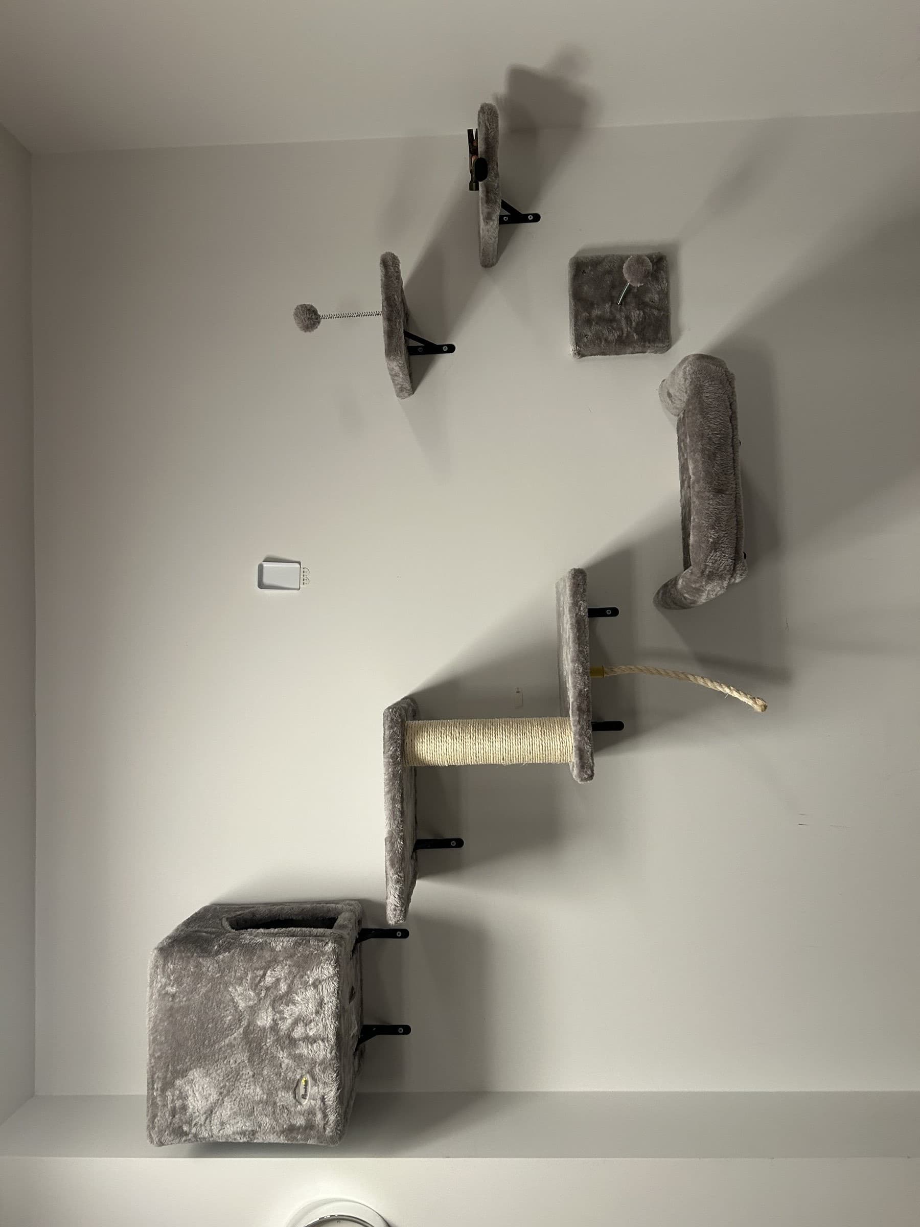 Wall-mounted cat shelves, scratching post and hammock installed as a climbing set
